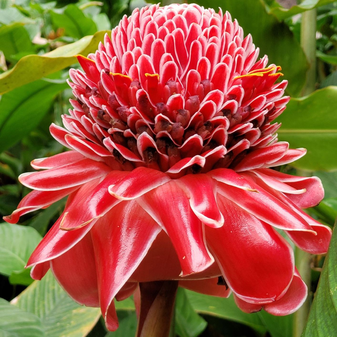 View from the gardens