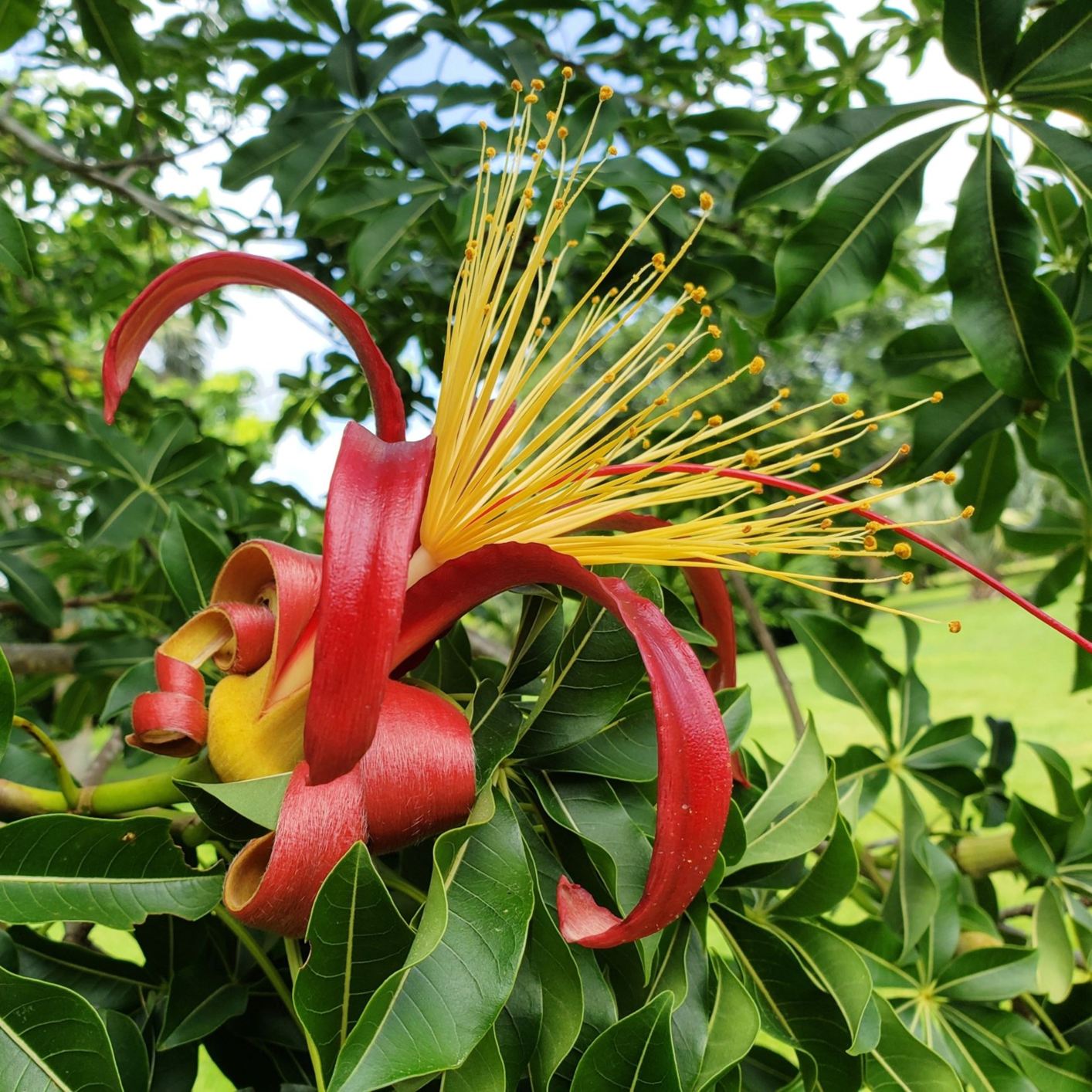 View from the gardens
